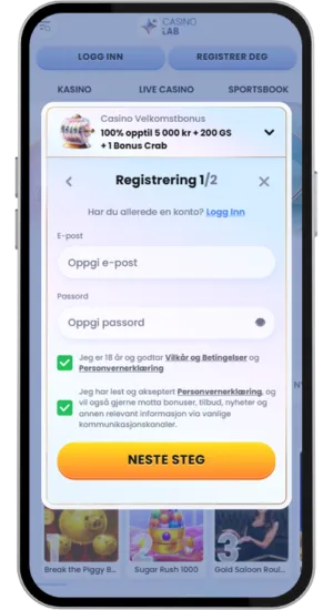 Registreringsskjema i nettcasino